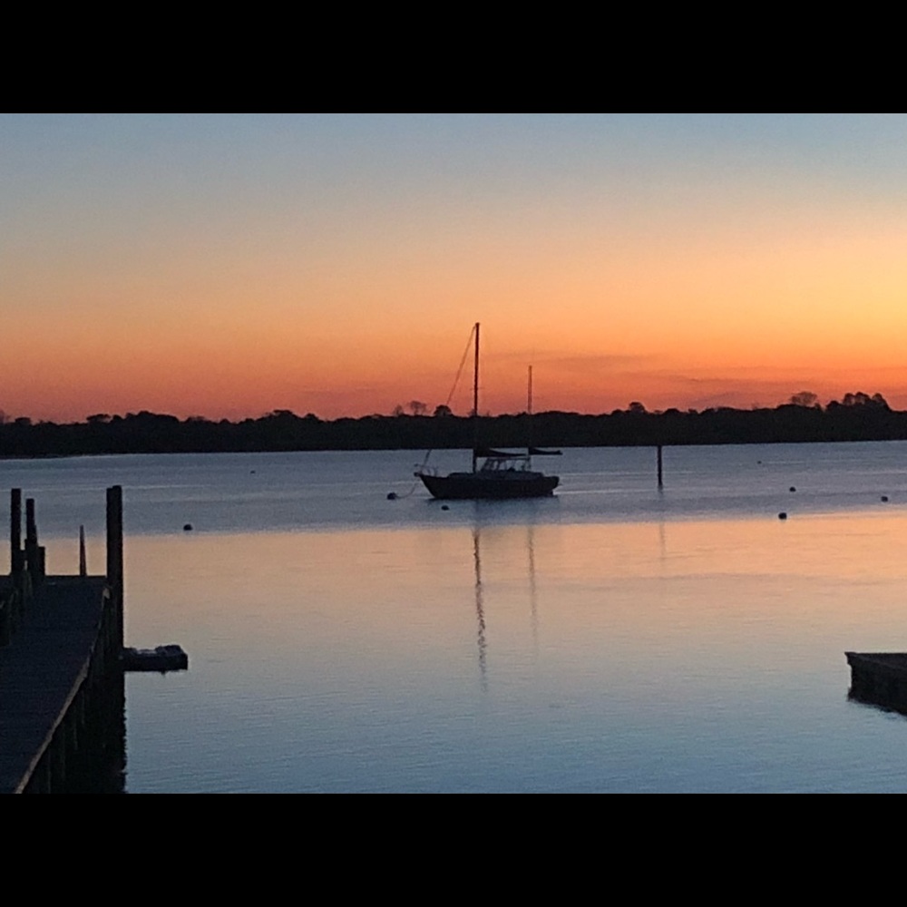 Meet your Posher, Shelley